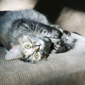 Meet your Posher, Janet